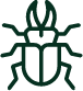 Insect darkgreen
