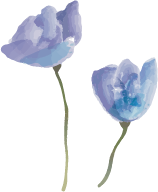 Flowers02