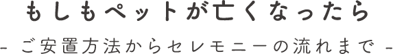 もしもペットが亡くなったら -ご安置方法からセレモニーの流れまで-