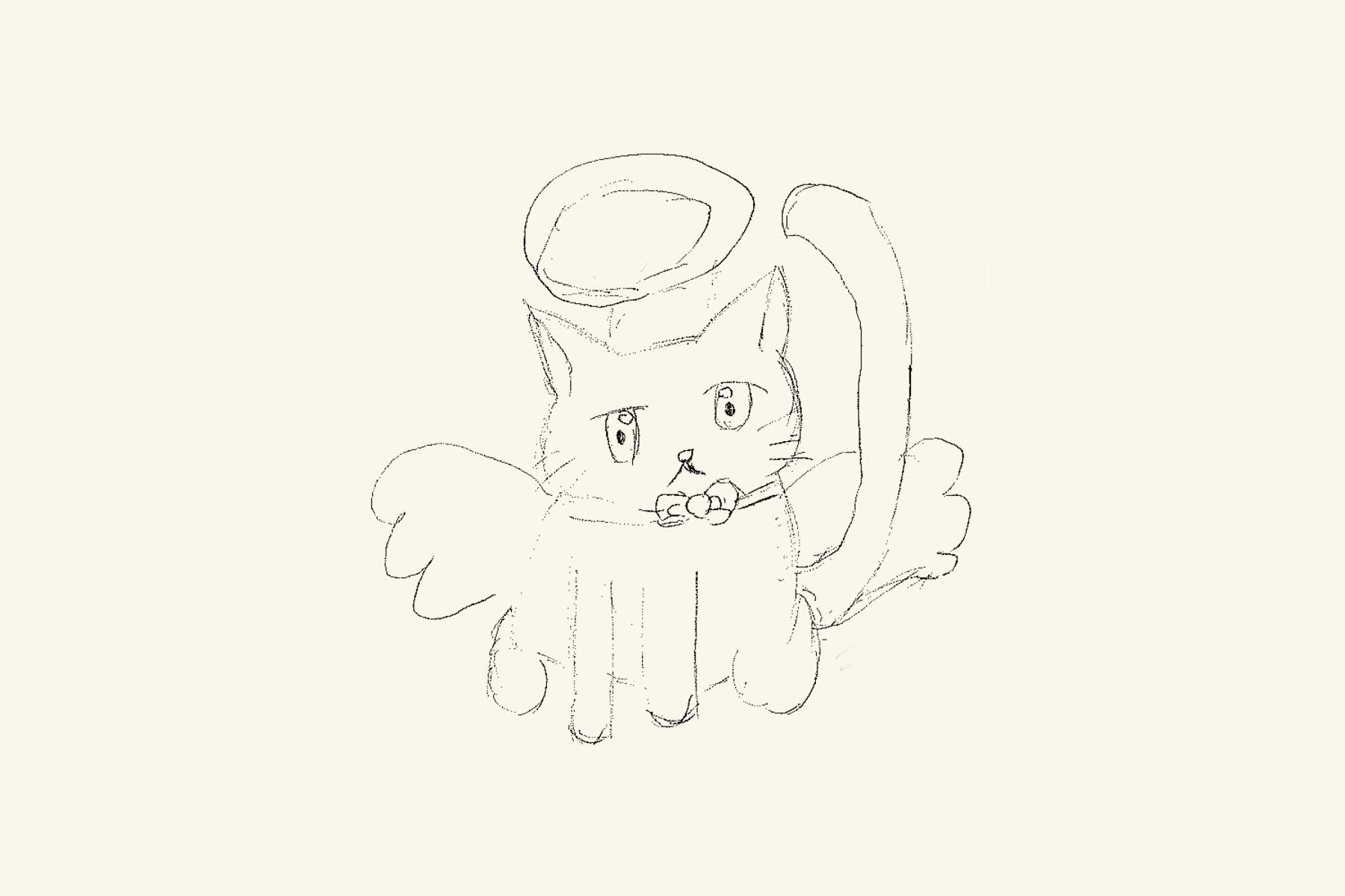 641