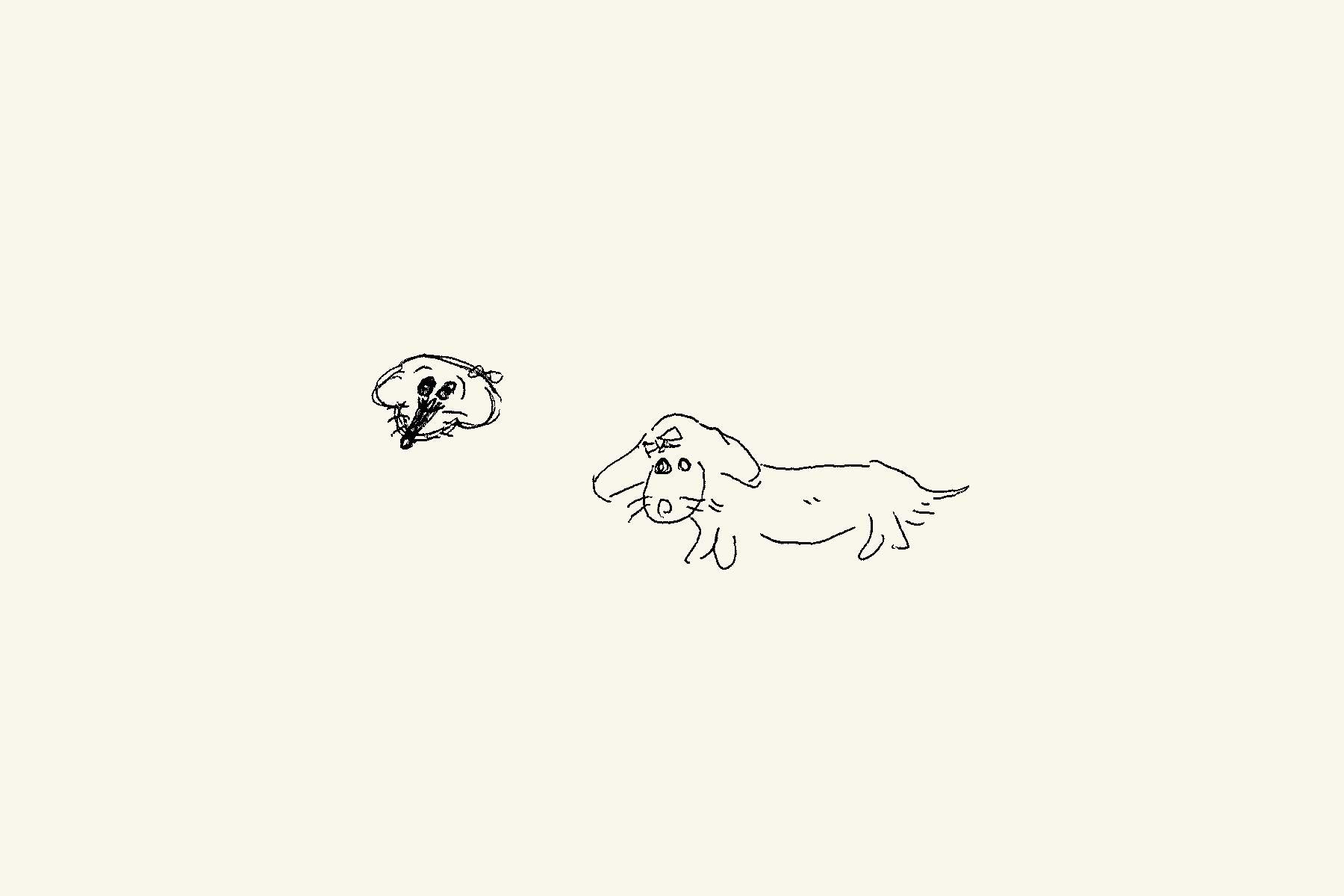 703