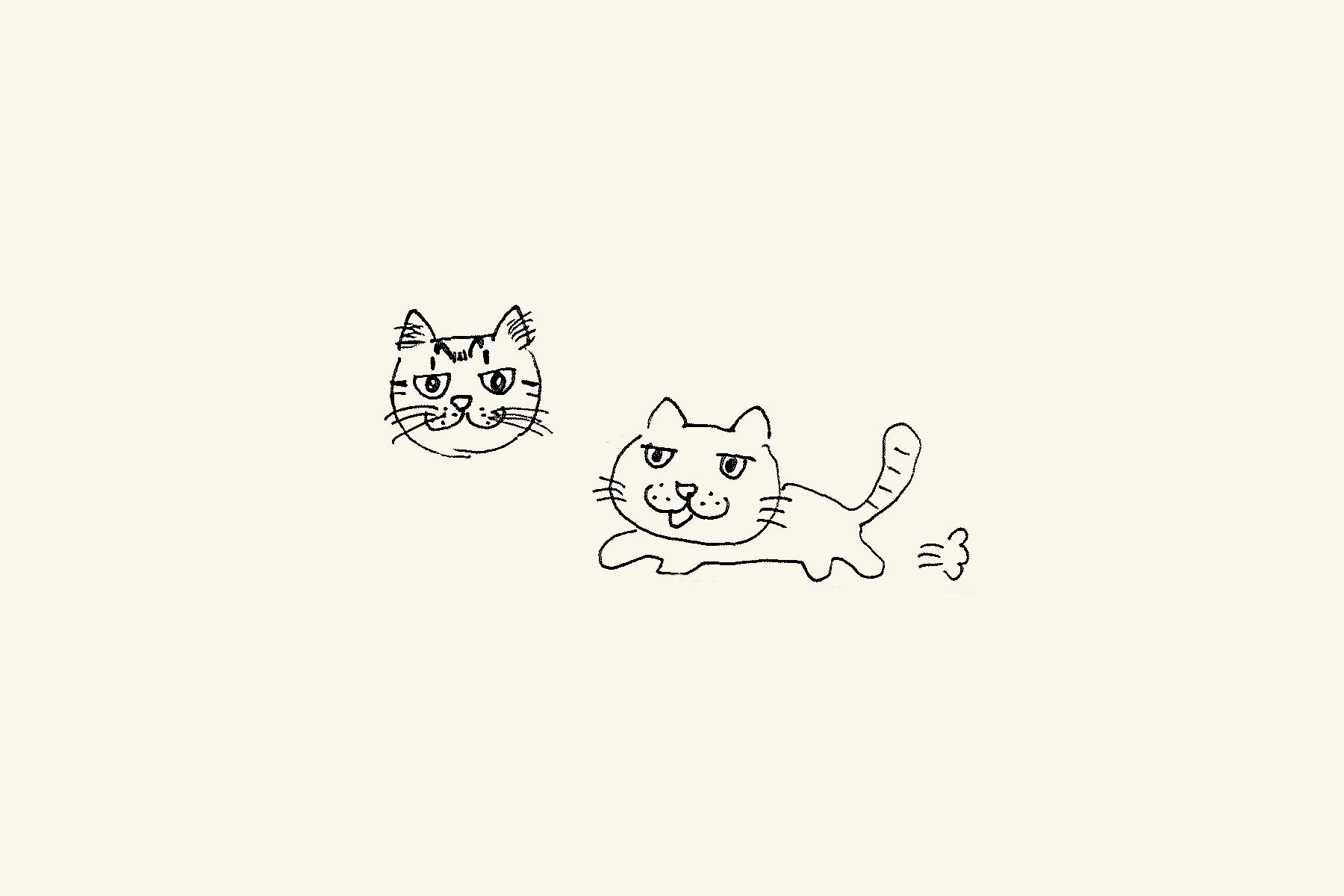 731