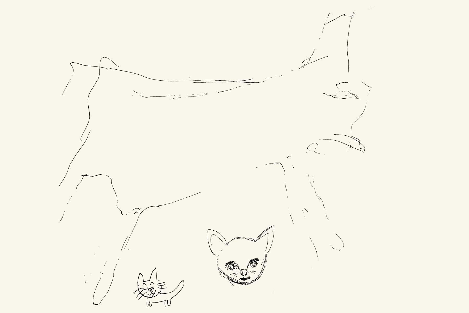 733