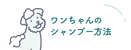 ワンちゃんのシャンプー方法
