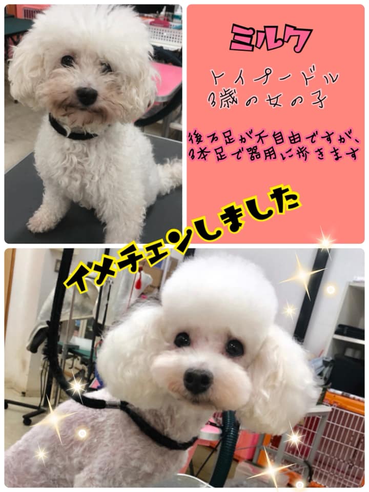 Hogoken20190926 2