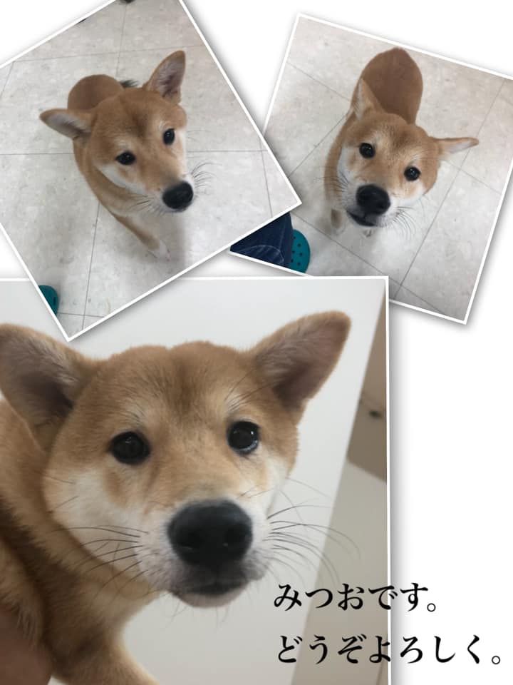 Hogoken20191029 2