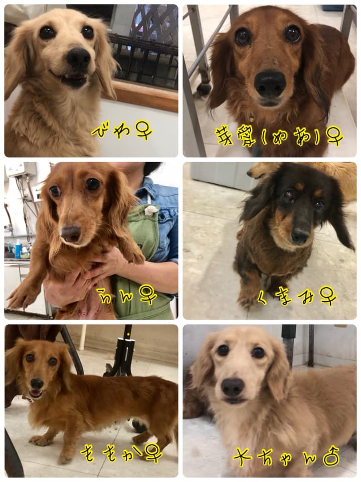 Hogoken20191030