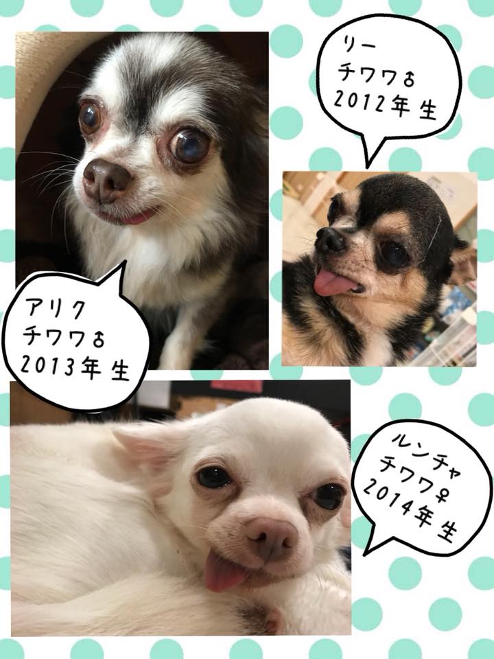 Hogoken20191204