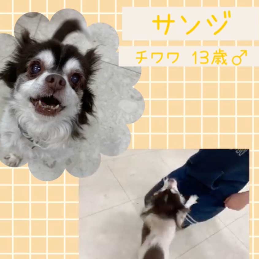Hogoken20220227