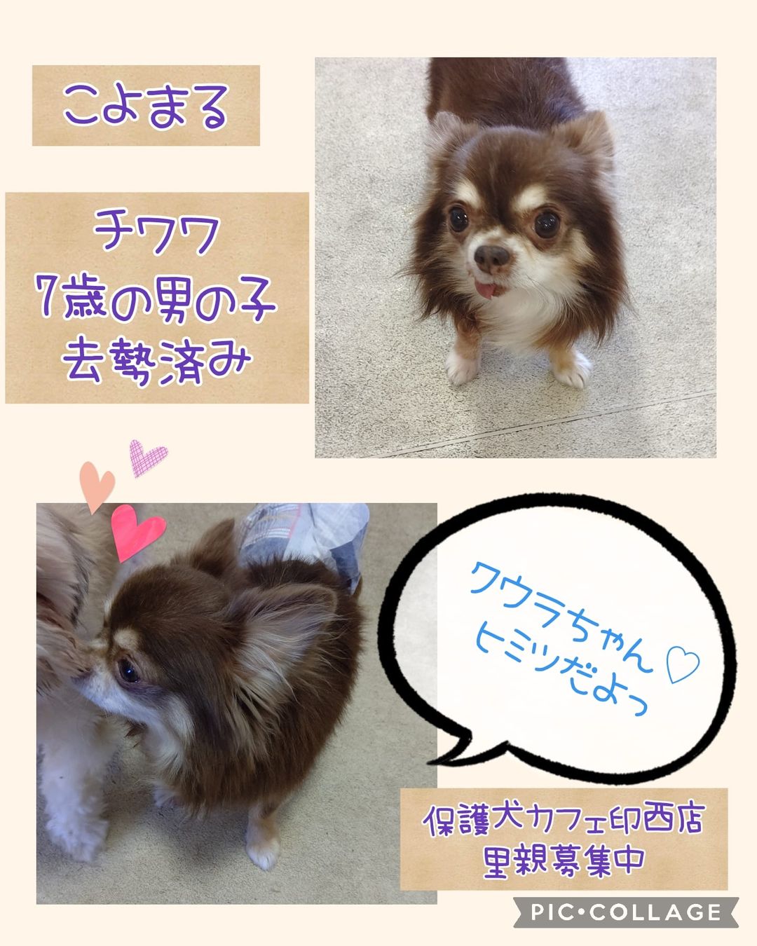 Hogoken20220307 2