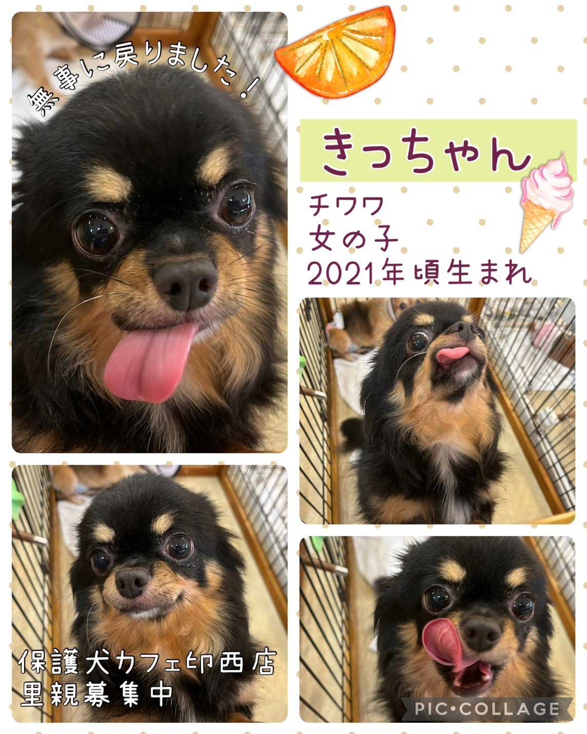 Hogoken20240706 3