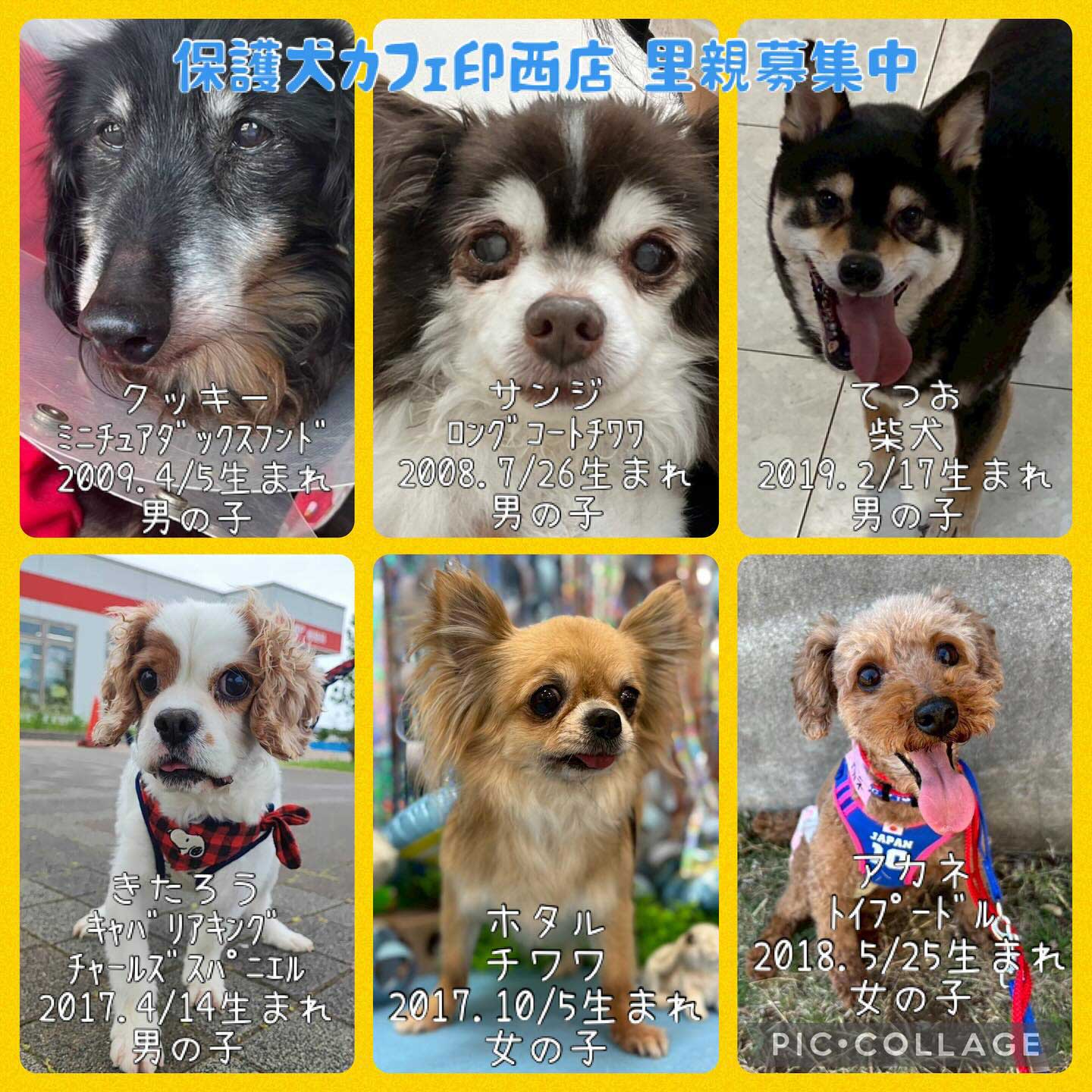 Hogoken20250601 3