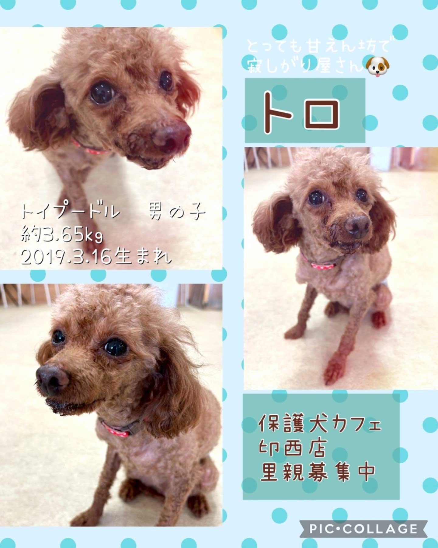 Hogoken20250629