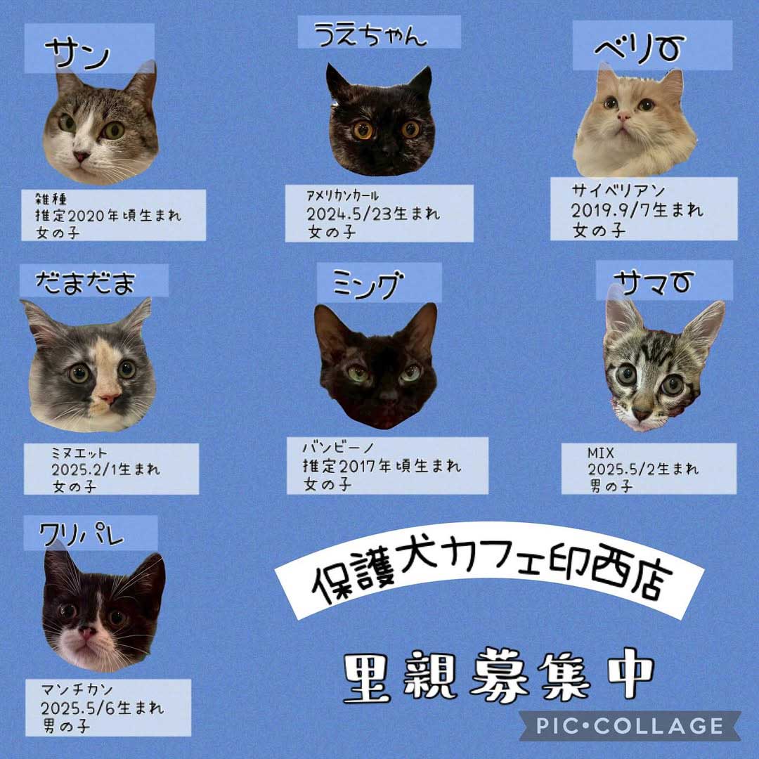 Hogoken20250714