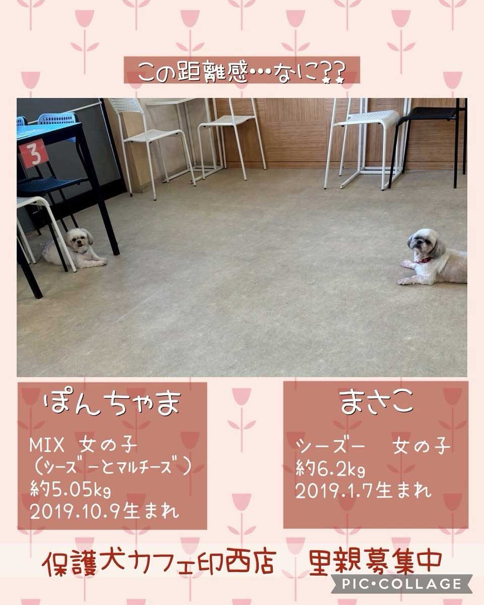 Hogoken20250729