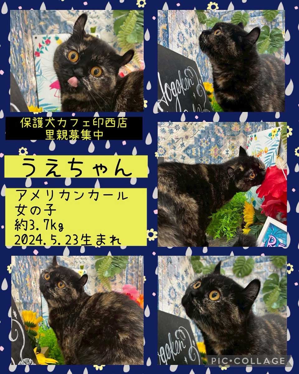 Hogoken20250827 3