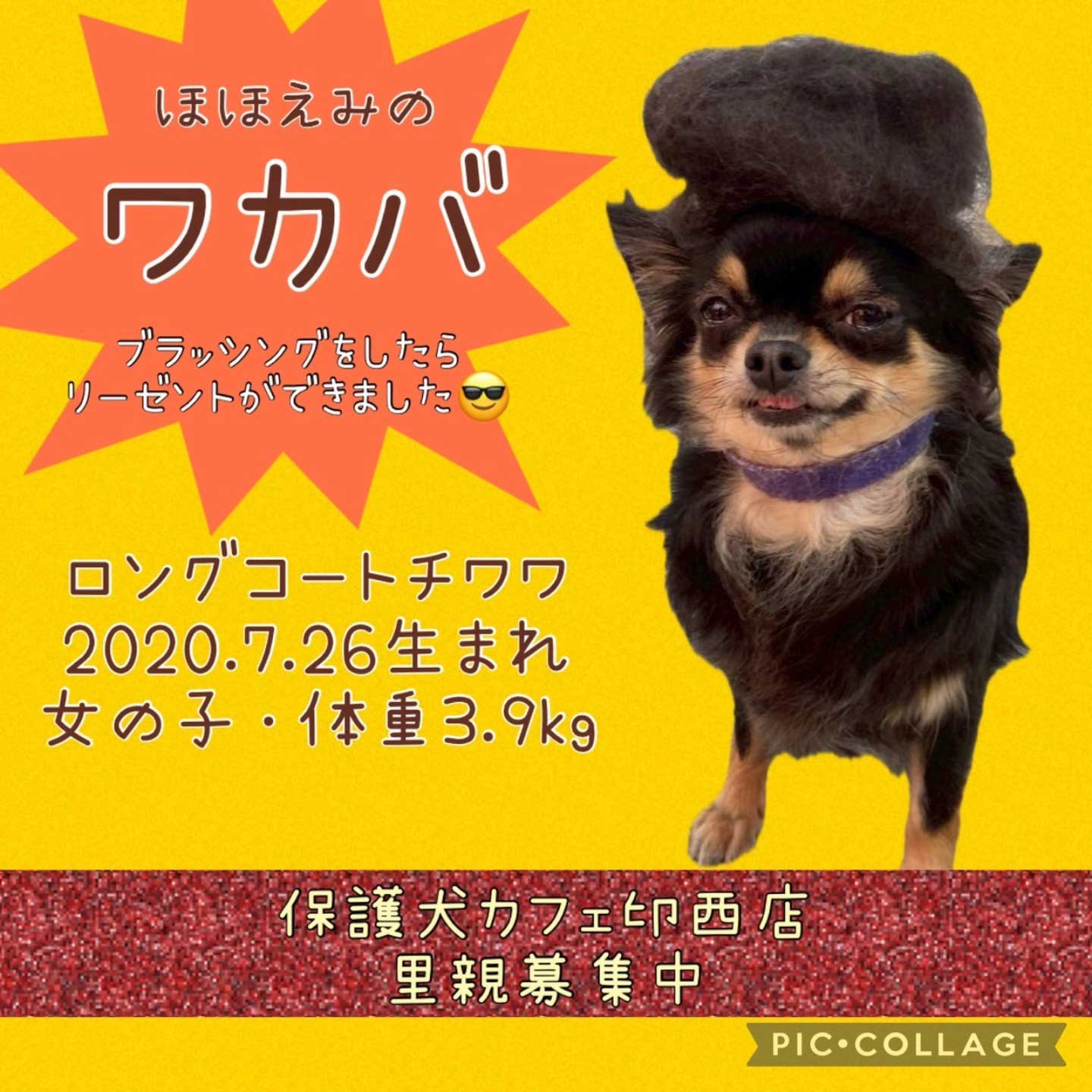 Hogoken20250829