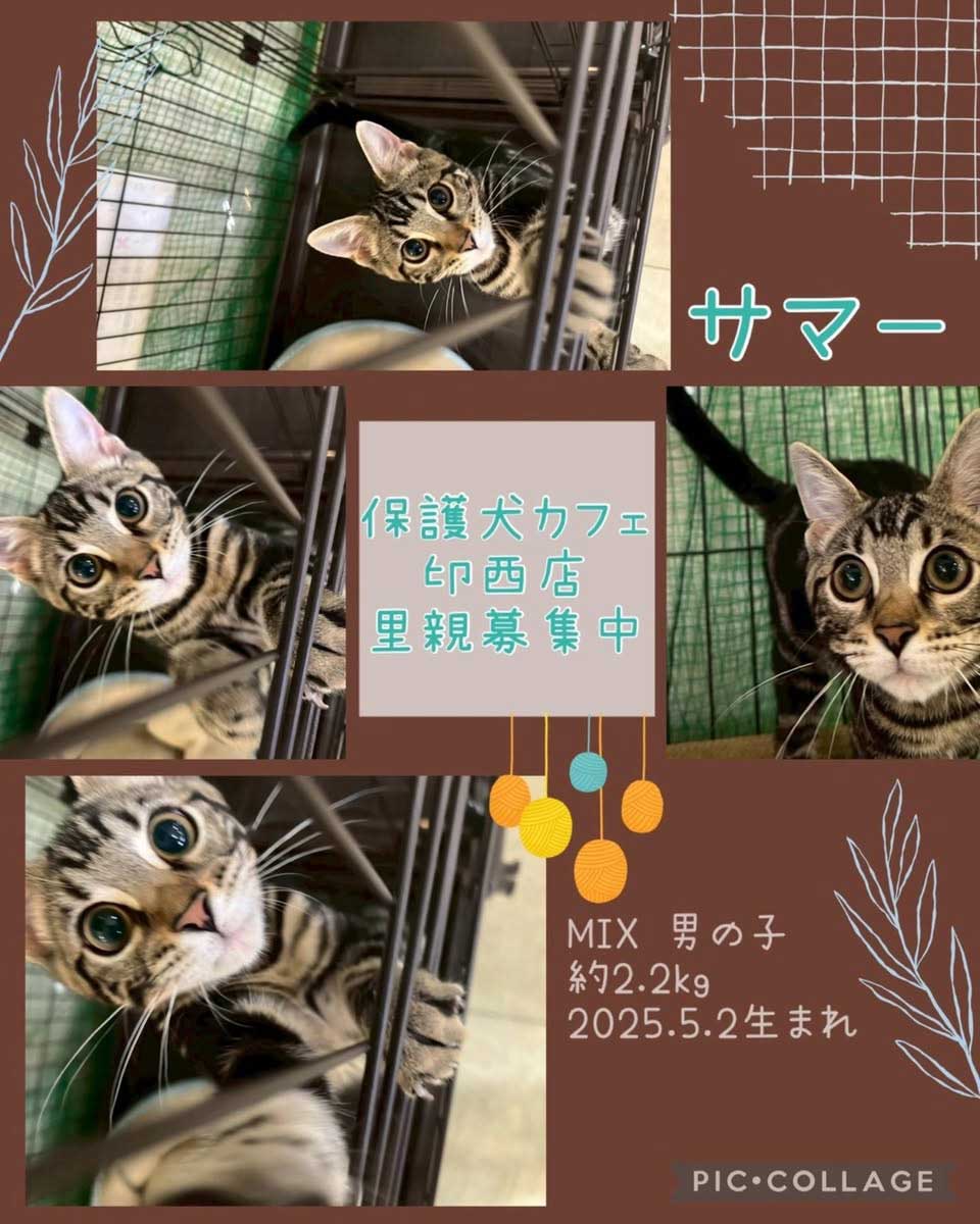 Hogoken20250919