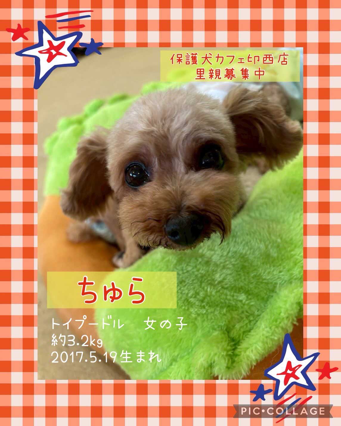 Hogoken20250928