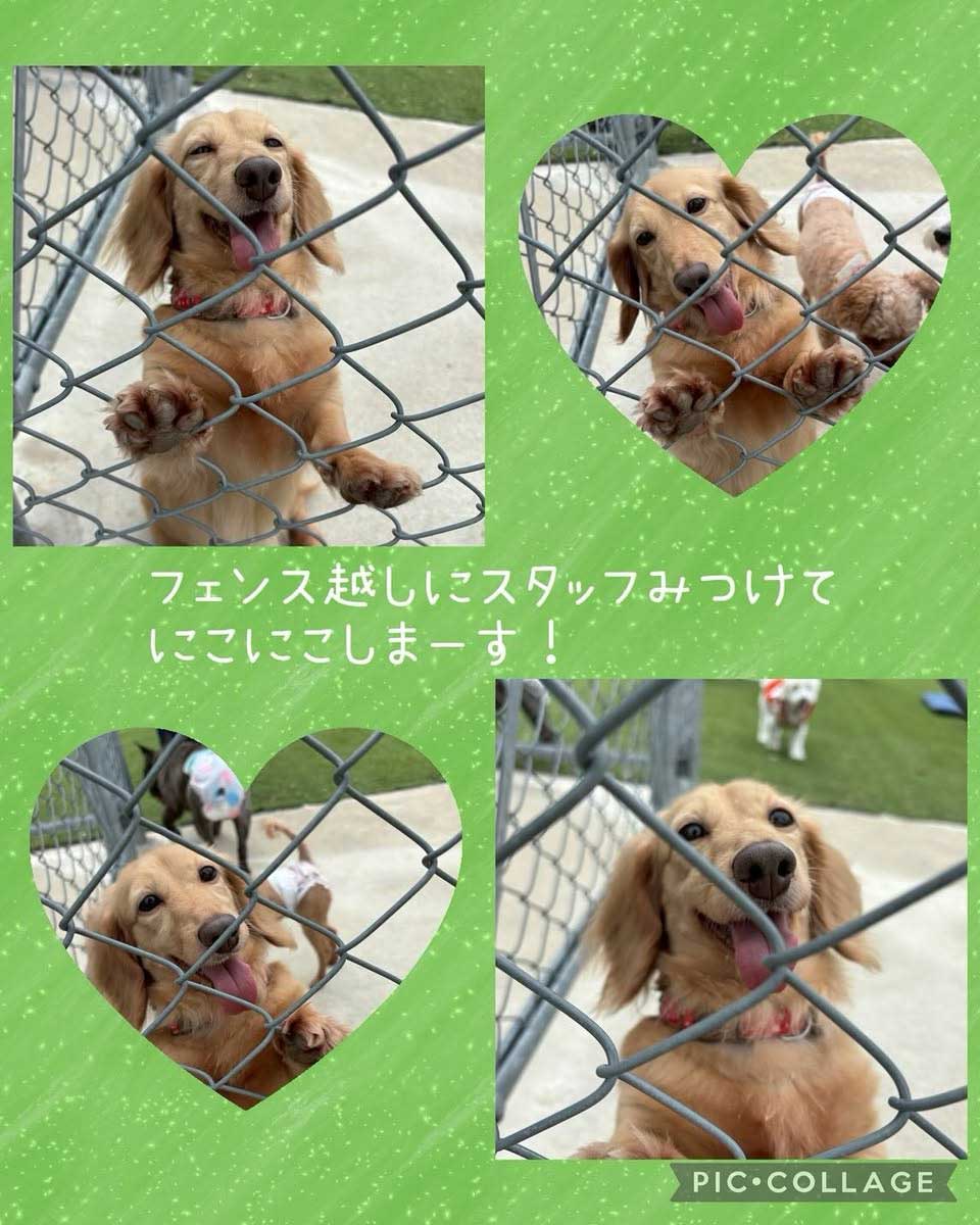 Hogoken20251020