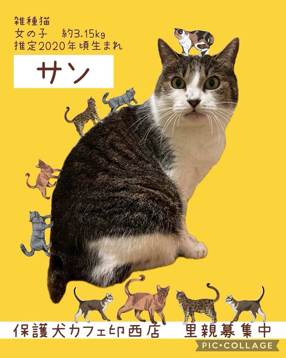 Hogoken20251025 2